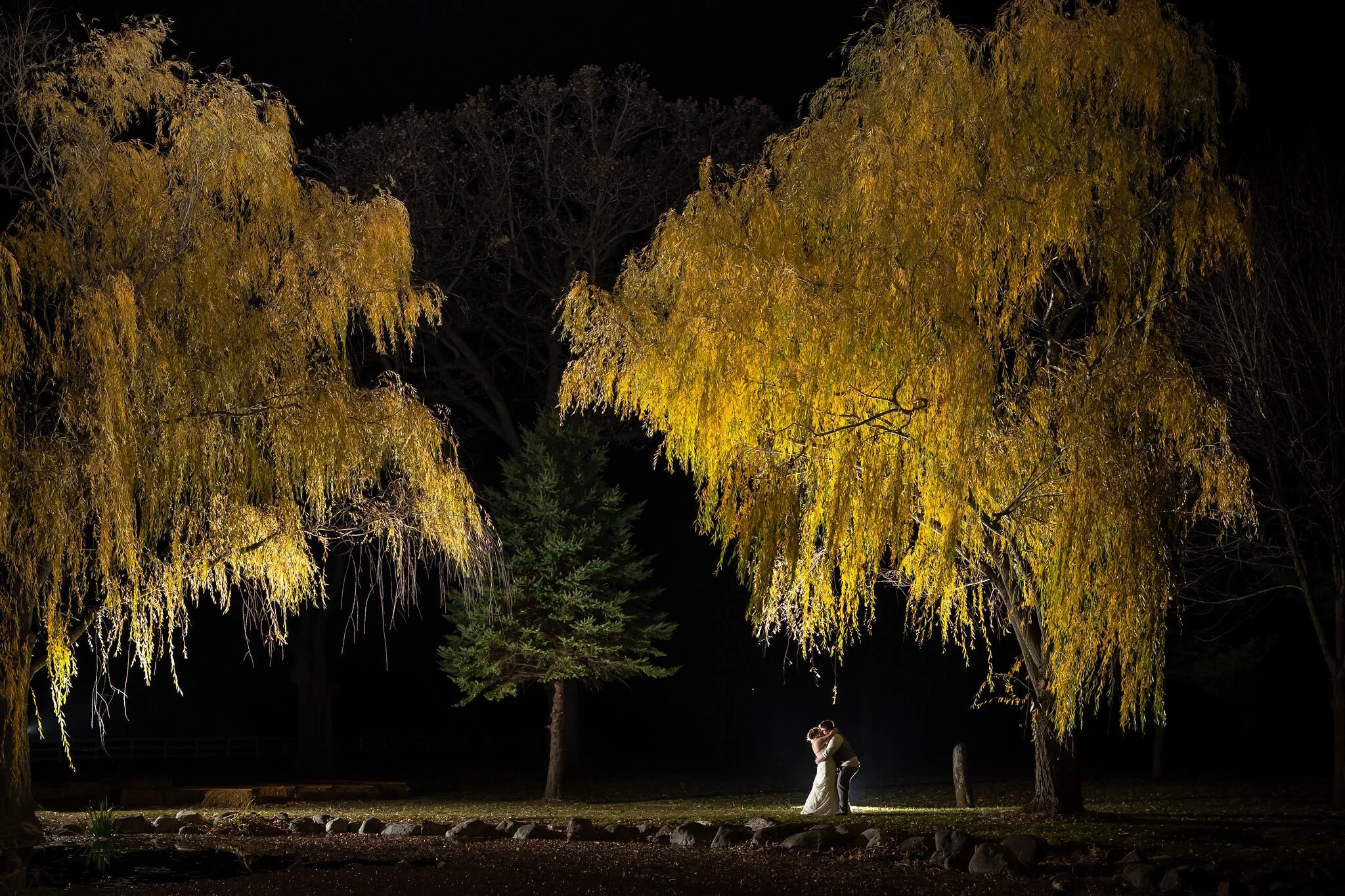 A person walks at night under golden, illuminated trees.